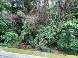 Property photo — ---